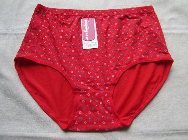 Underpants in cotton, knickers in cotton , plus size pantyhose